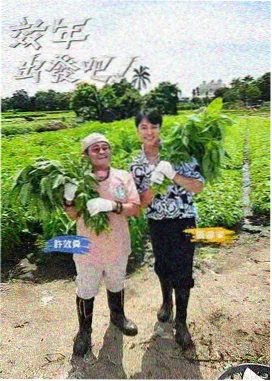 女教师题材电影推荐 群像分析配图
